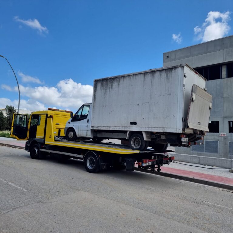 grua-camion-pequeño
